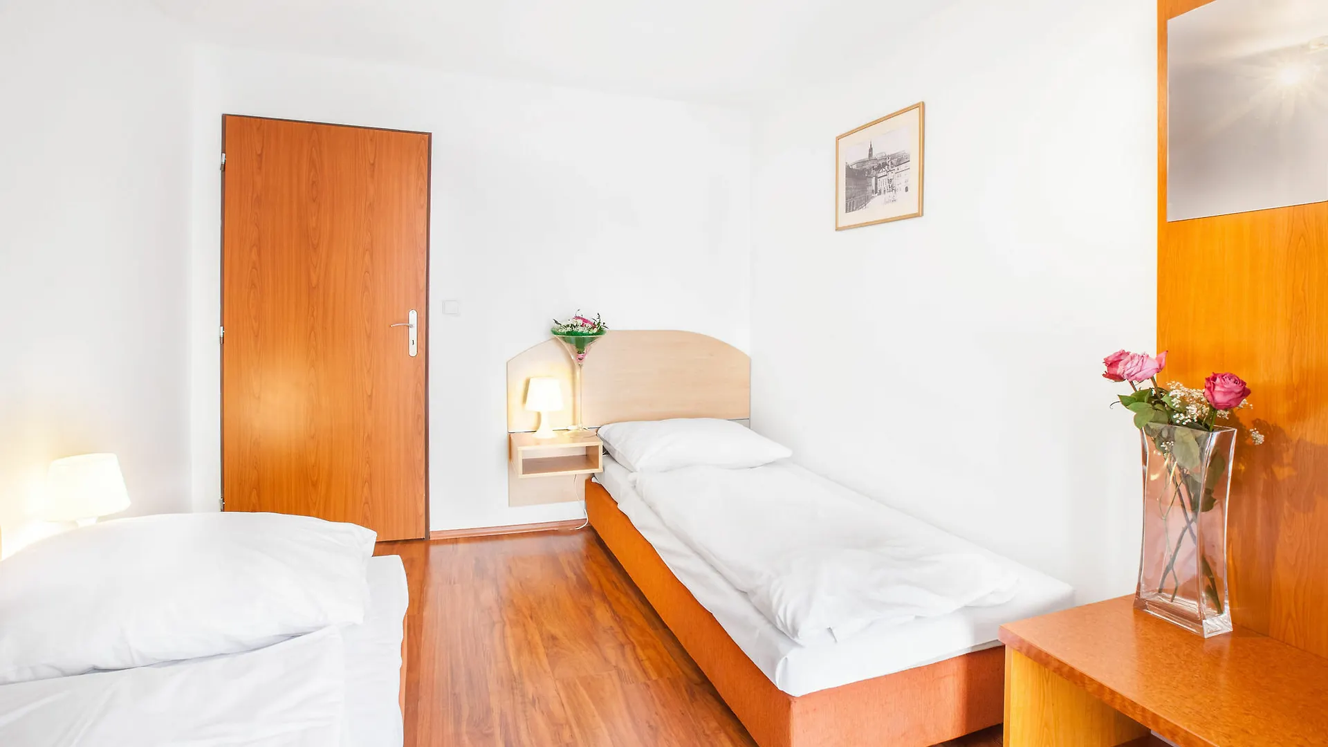 Apartment House Zizkov Praga Hotel